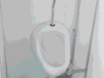 Module Sanitaire 10 pieds – Image 4